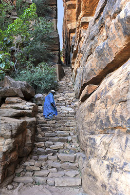 Le grand escalier de Banani