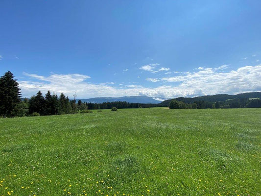 Blick zum Zirbitzkogel