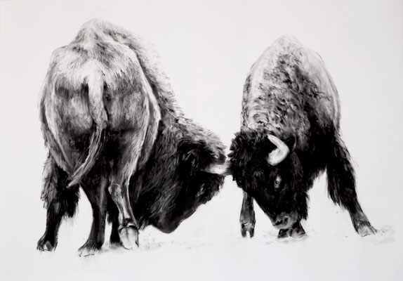 Bisonstudie VI, Kreide auf Papier, 2025, 100 x 70 cm