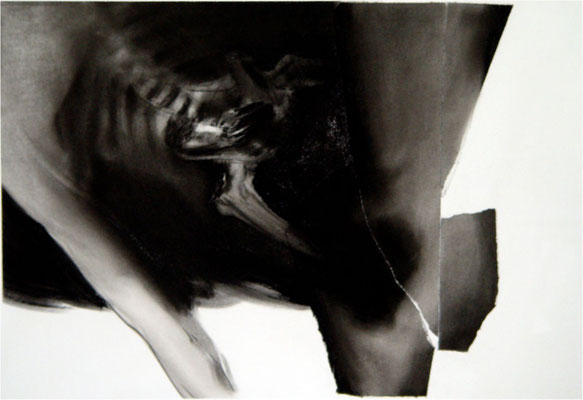 Verwandlung 15, Collage und Kreide auf Papier, 2005, 100 x 70 cm