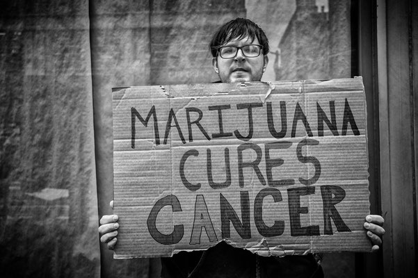Marijuana cures ....