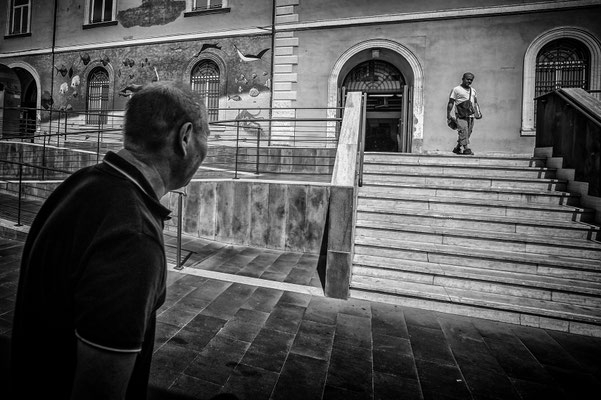 Sguardi da una unica terra