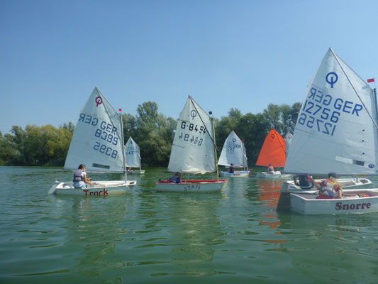 Segelboote auf dem Südsee während der Regatta