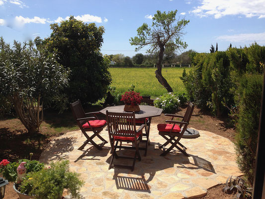 die Mimosa Terrasse am Anfang