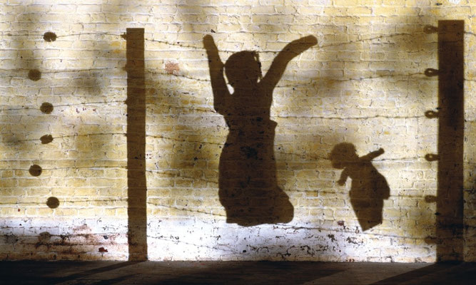 Les Ombres Barbelés  (photographie laminée sous plexiglas - 120 x 180 cm)