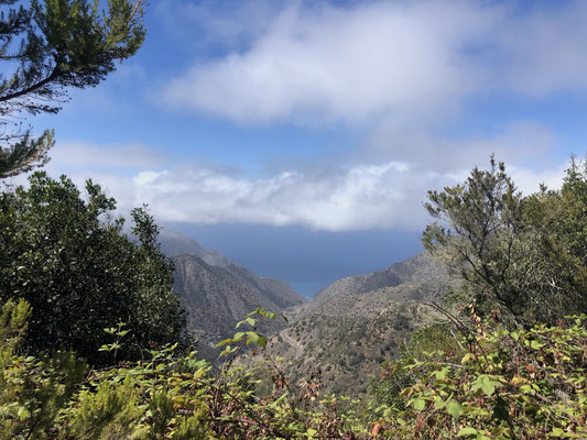 View from the house in the forest on La Gomera