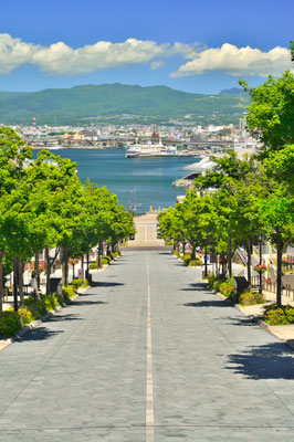 ２２６　八幡坂から函館港の夏風景