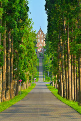 トラピスト修道院の並木道