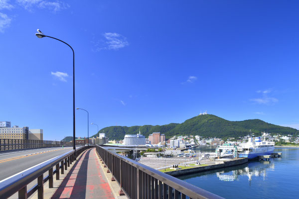 ４４２　巴大橋から函館港の眺望　