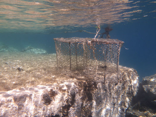 Klares Wasser auf den Kornaten 