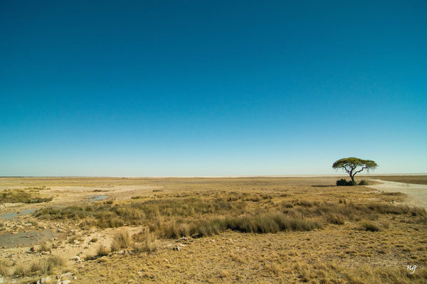 Namibia 2019