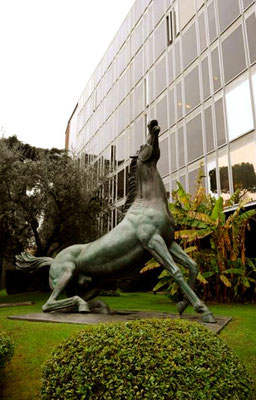 Il cavallo di viale Mazzini