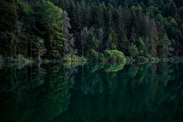 Spiegelung am Lac de Bonlieu