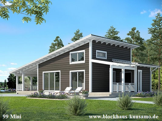 Blockhausbau - Wohnblockhaus mit Pultdach  - Ökohaus 