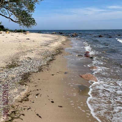 Am Strand von Fehmarn