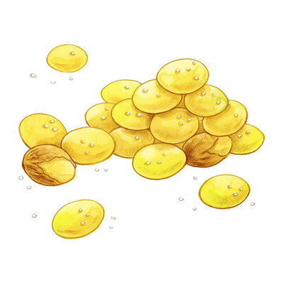 銀杏の素揚げ
