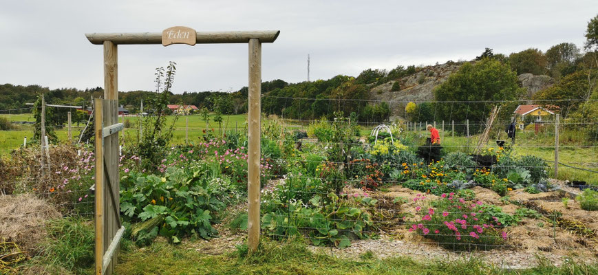 Ingången till vårt Eden. 