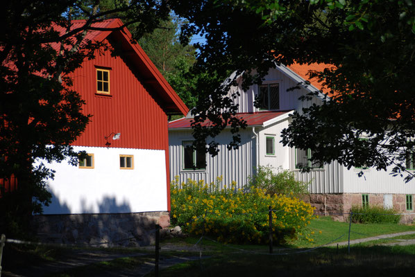 Gård på Flatön juni 2018. Foto: Anders Roxfelt