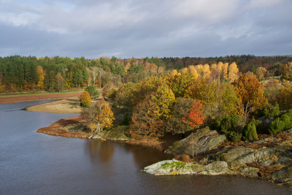 Höstfärger på Ängön (vid Klåvan), okt 2019. Foto: Anders Roxfelt