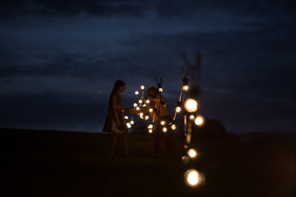 Festival Wedding Fairy Lights