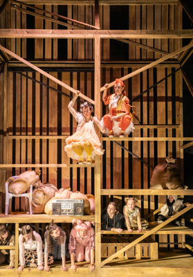 George Orwell, Farm der Tiere, Theater Bonn, Dominic Friedel, Julian Marbach, Annika Garling, Christian Czeremnych, Sören Wunderlich