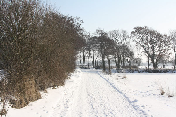 ein schneebedeckter Feldweg