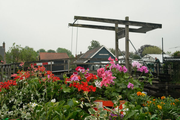 Foto: Koen Persoon