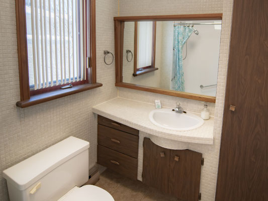 Salle de bain rez-de-chaussé (avec bain douche)