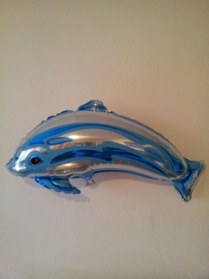 FL 26 Delphin weiss/blau