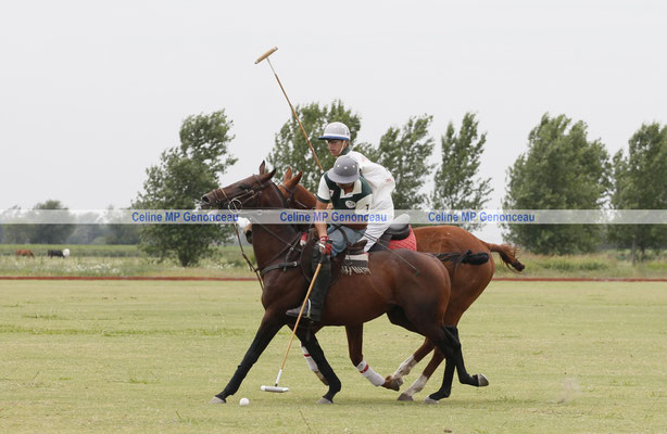 Polo Sport Argentina Photo440