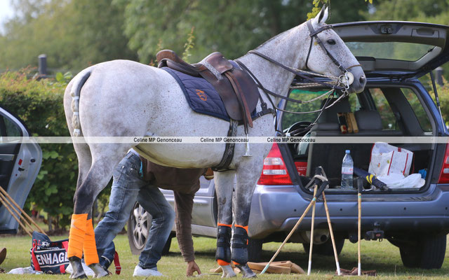 Polo Sport England Photo543