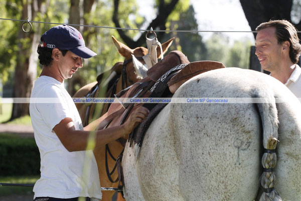 Polo Sport Argentina Photo545