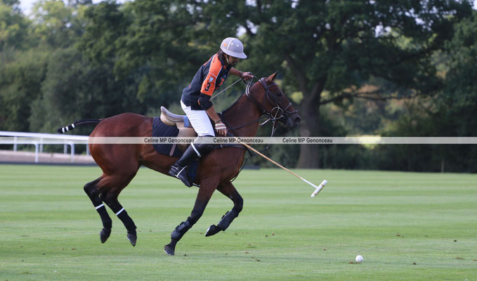 Polo Sport England Photo511