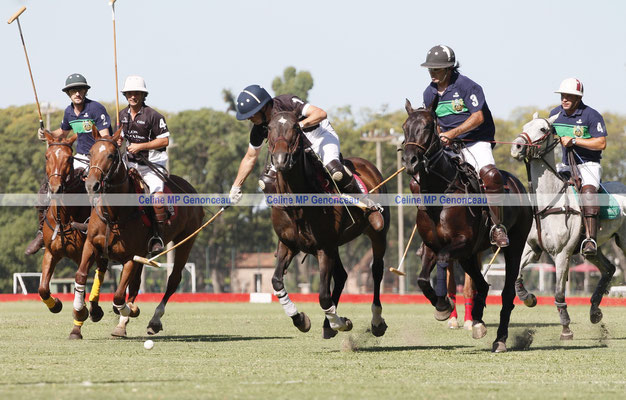 Polo Sport Argentina Photo513