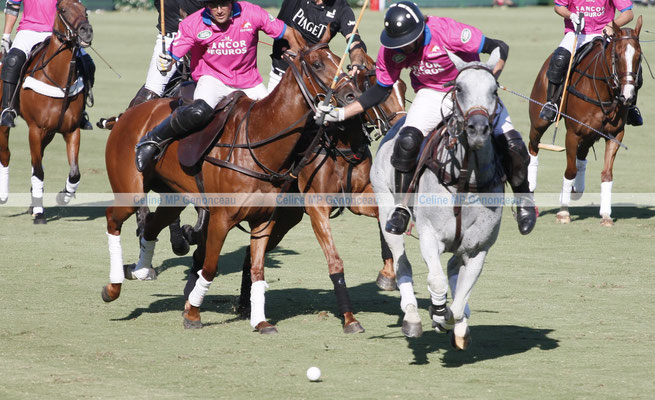 Polo Sport Argentina Photo240