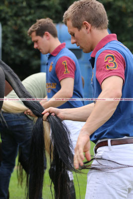 Polo Sport England Photo355