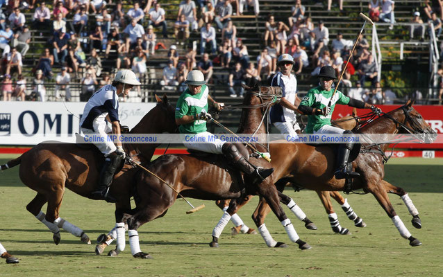 Polo Sport Argentina Photo146