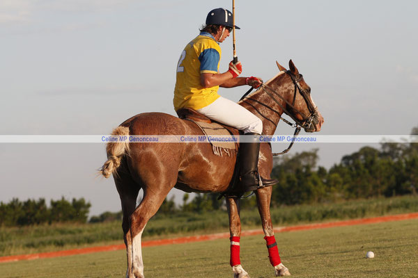 Polo Sport Argentina Photo384