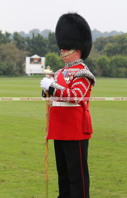 Polo Sport England Photo325