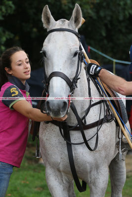 Polo Sport England Photo392