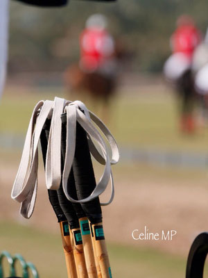 Polo Sport Dubai Photo49