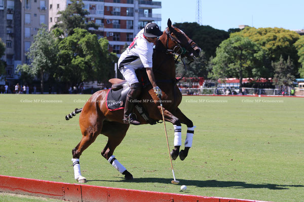 Polo Sport Argentina Photo15