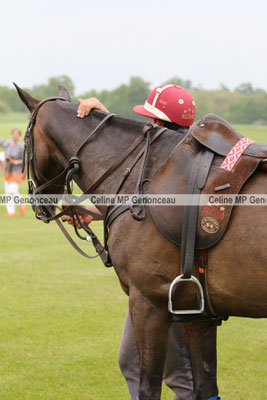 Polo Sport England Photo168