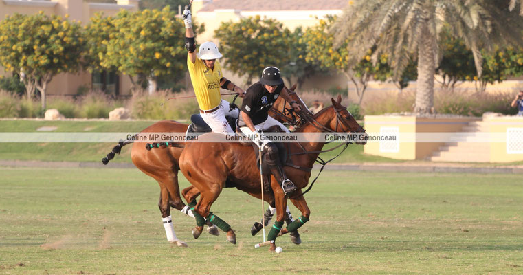 Polo Sport Dubai Photo245