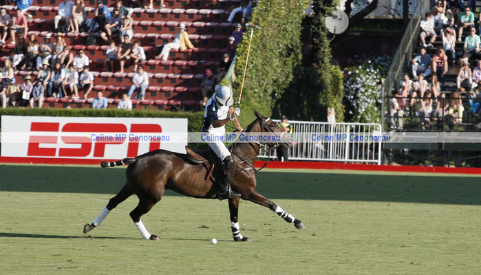 Polo Sport Argentina Photo159