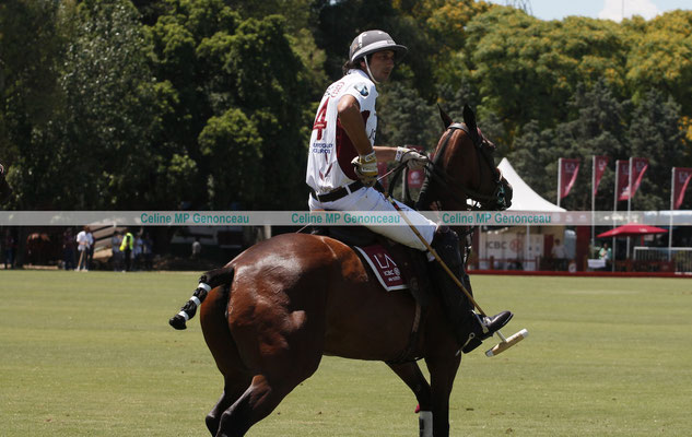Polo Sport Argentina Photo177