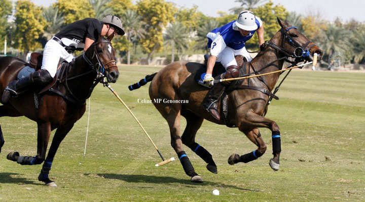 Polo Sport Dubai Photo42