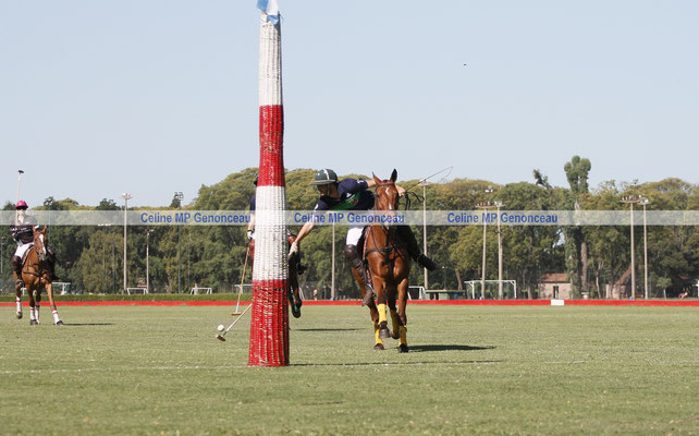 Polo Sport Argentina Photo498