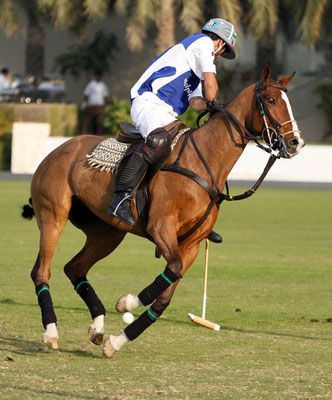 Polo Sport Dubai Photo36