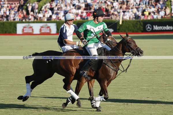 Polo Sport Argentina Photo158